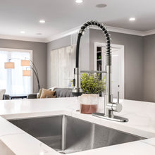 Load image into Gallery viewer, Spring Neck Pull-Down Sprayer Kitchen Faucet