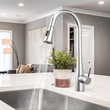 Load image into Gallery viewer, Pull-Down Sprayer Kitchen Faucet with Dual Function in Chrome