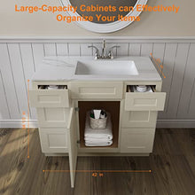 Load image into Gallery viewer, 21"D x 42"W x 34"H Vanity Sink Base Cabinet in Shaker Antique White