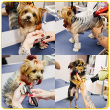 Load image into Gallery viewer, ROOMTEC Dog Grooming Table