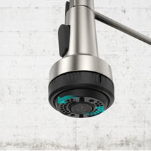 Load image into Gallery viewer, Spring Neck Pull-Down Sprayer Kitchen Faucet