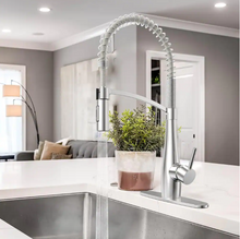 Load image into Gallery viewer, Spring Neck Pull Down Sprayer Kitchen Faucet