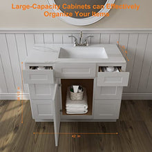 Load image into Gallery viewer, 21&quot;D x 42&quot;W x 34&quot;H Vanity Sink Base Cabinet in Shaker Dove
