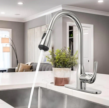 Load image into Gallery viewer, Pull-Down Sprayer Kitchen Faucet with 4-Function
